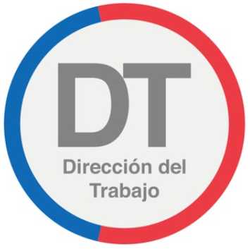 Acceso Fiscalizadores D.T.